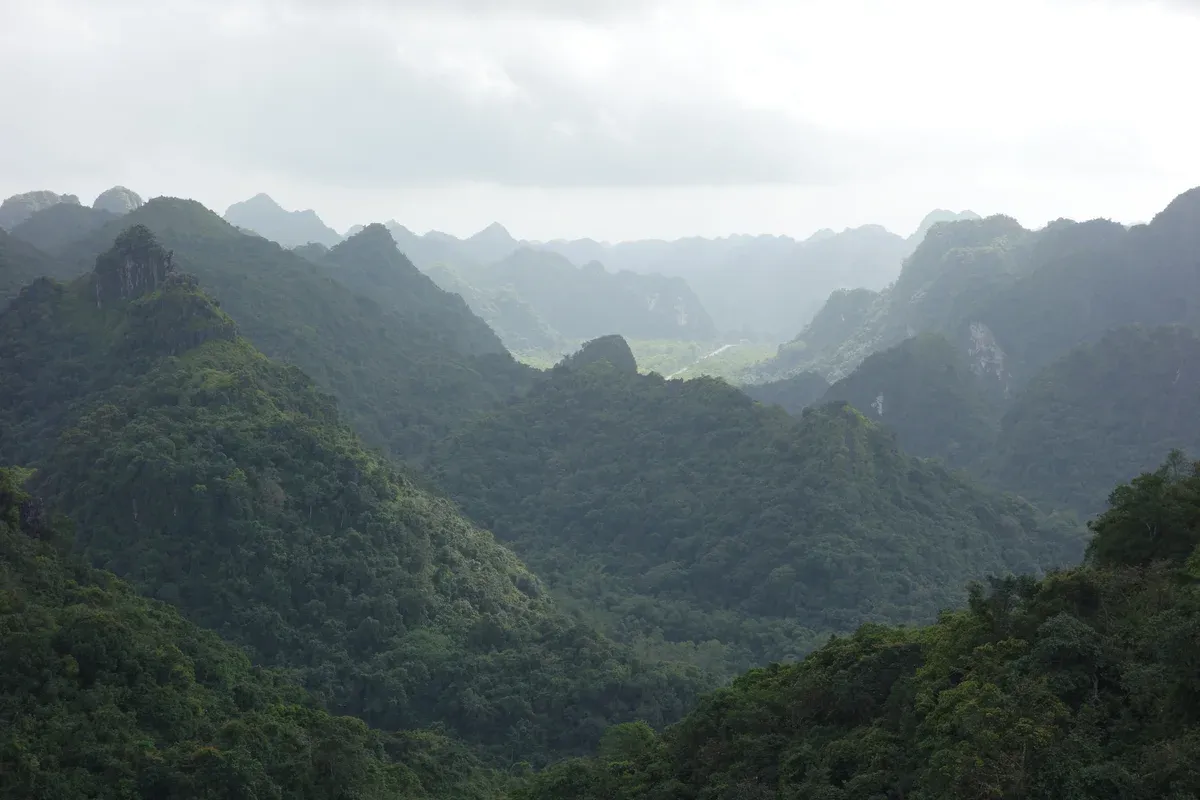 Forested limestone ridges in Cat Ba National Park near Lan Ha Bay, Halong Bay cruise