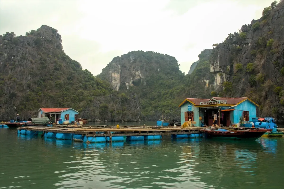 Floating fishermen's houses in Bai Tu Long Bay, passed on a Ha Long Bay junk boat cruise