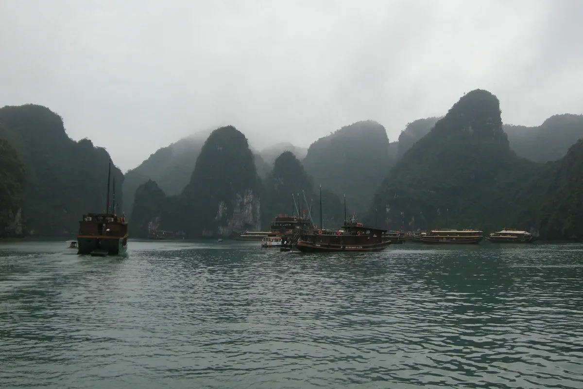 Junk boats under misty karsts in the early morning on a Ha Long Bay junk boat cruise